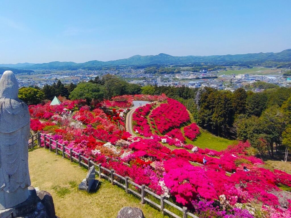 🌸 카사마 철쭉 공원(카사마 츠츠지 코엔) 이미지 4